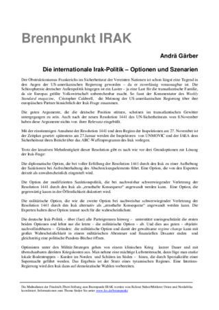 Die internationale Irak-Politik