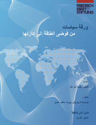 [From energy mess to energy management