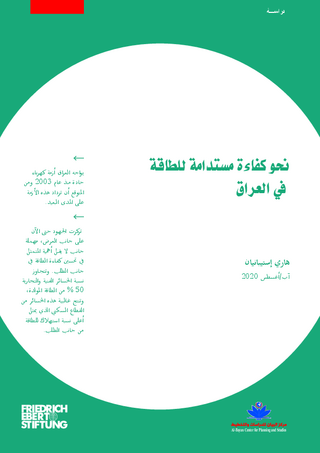 [Towards sustainable energy efficiency in Iraq]