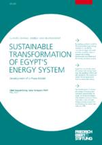 Sustainable transformation of Egypt's energy system