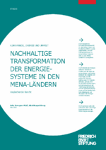 Nachhaltige Transformation der Energie-Systeme in den MENA-Ländern